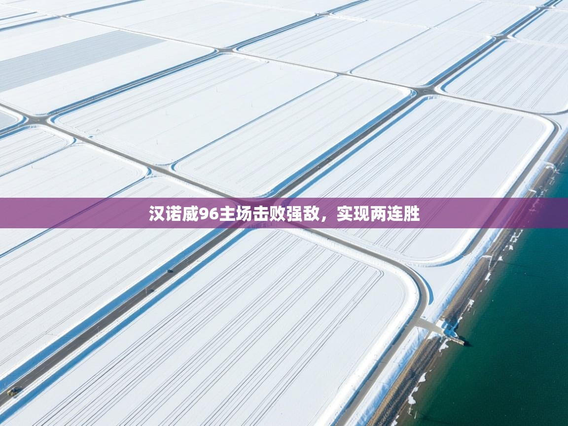 汉诺威96主场击败强敌,实现两连胜 第1张