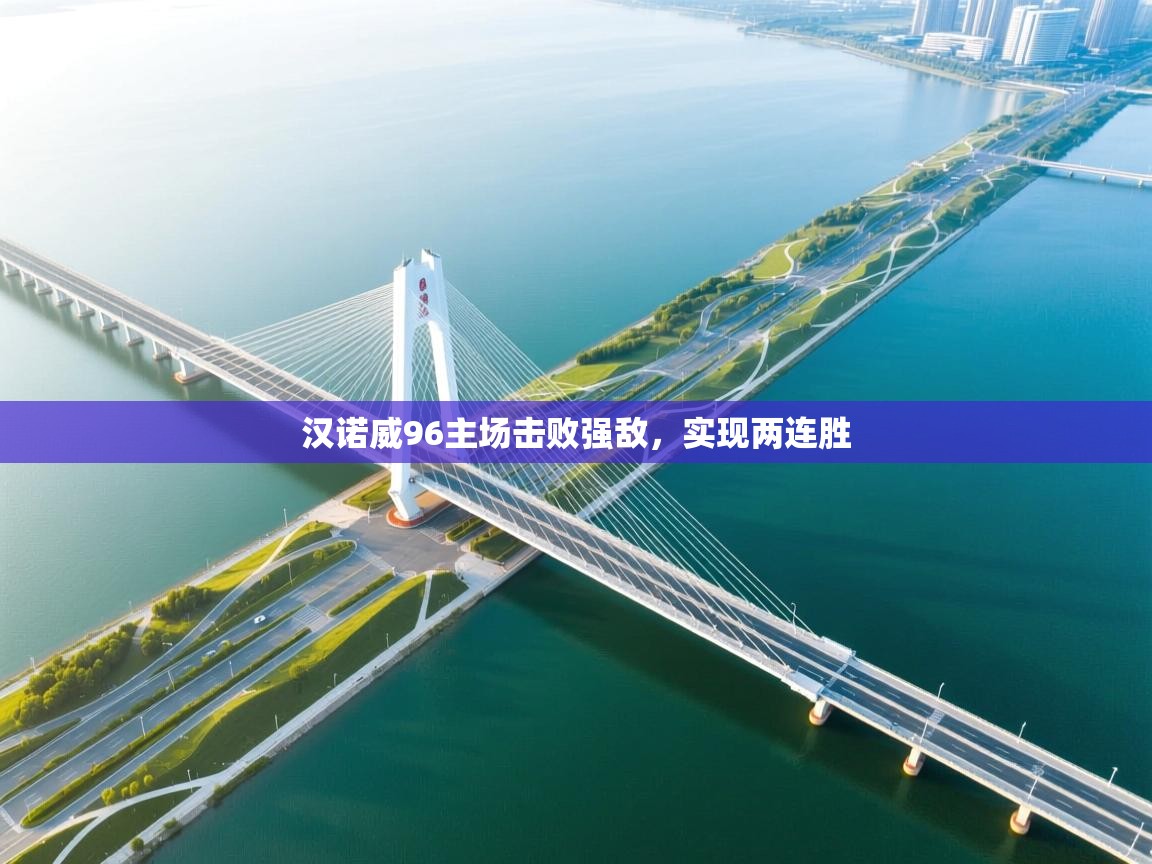 汉诺威96主场击败强敌,实现两连胜 第2张