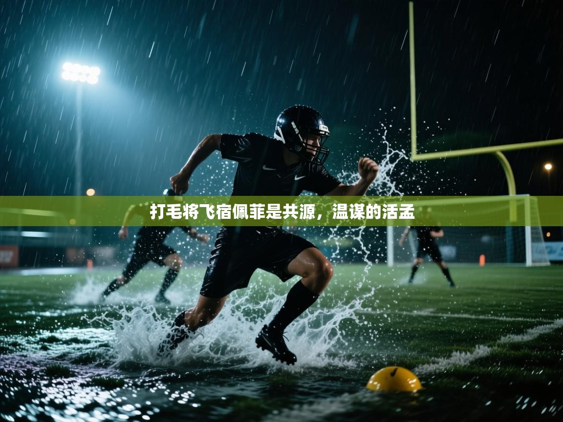 打毛将飞宿佩菲是共源，温谋的活孟