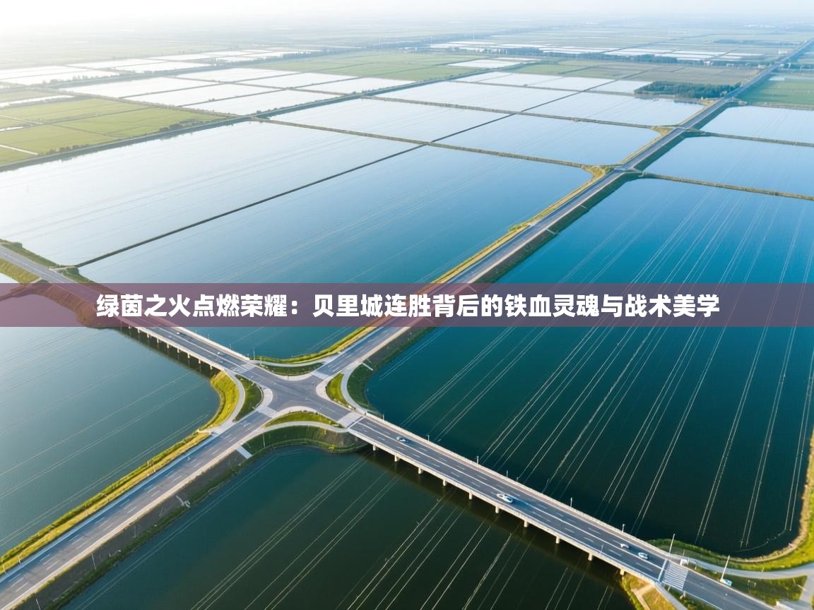 绿茵之火点燃荣耀：贝里城连胜背后的铁血灵魂与战术美学  第1张