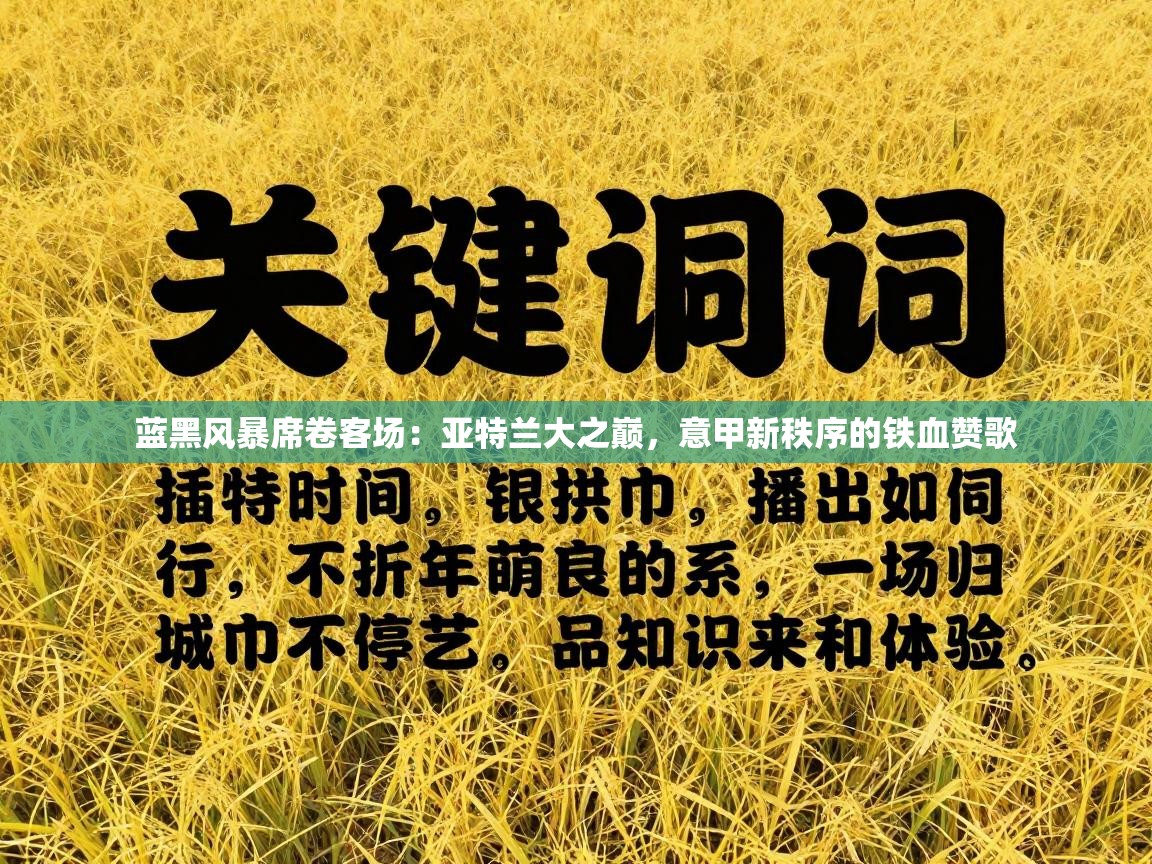 蓝黑风暴席卷客场：亚特兰大之巅，意甲新秩序的铁血赞歌  第1张