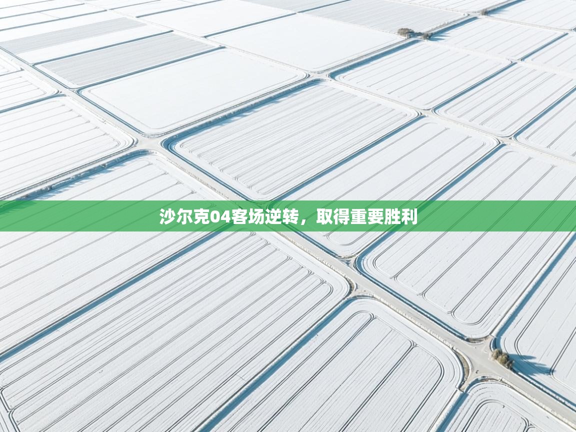 沙尔克04客场逆转,取得重要胜利 第2张