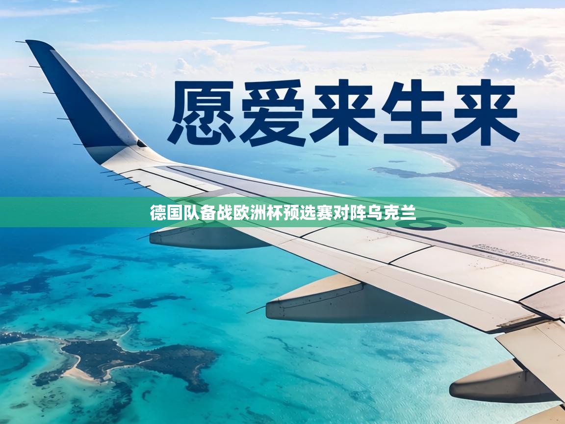 德国队备战欧洲杯预选赛对阵乌克兰 第2张